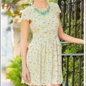 NWT Matilda Jane Field Poppy dress size 8